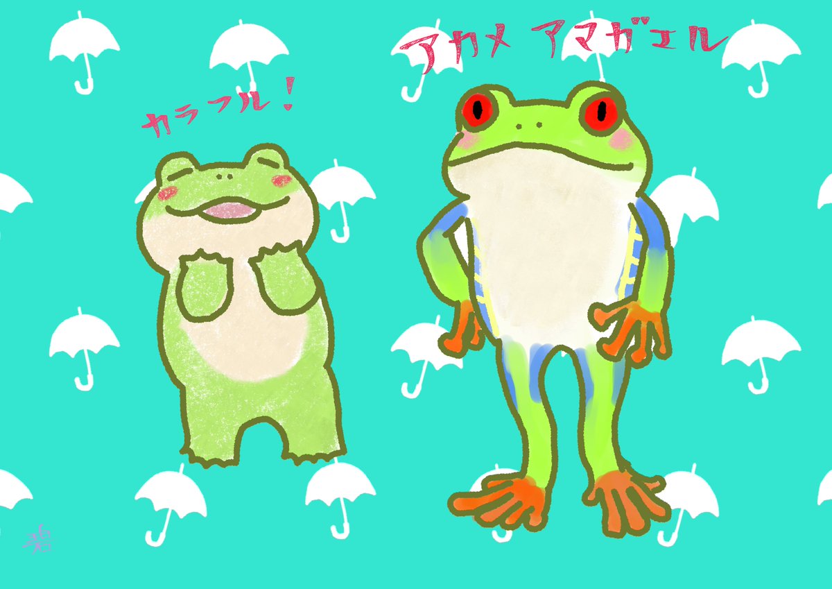 雨蛙 碧 tweet media