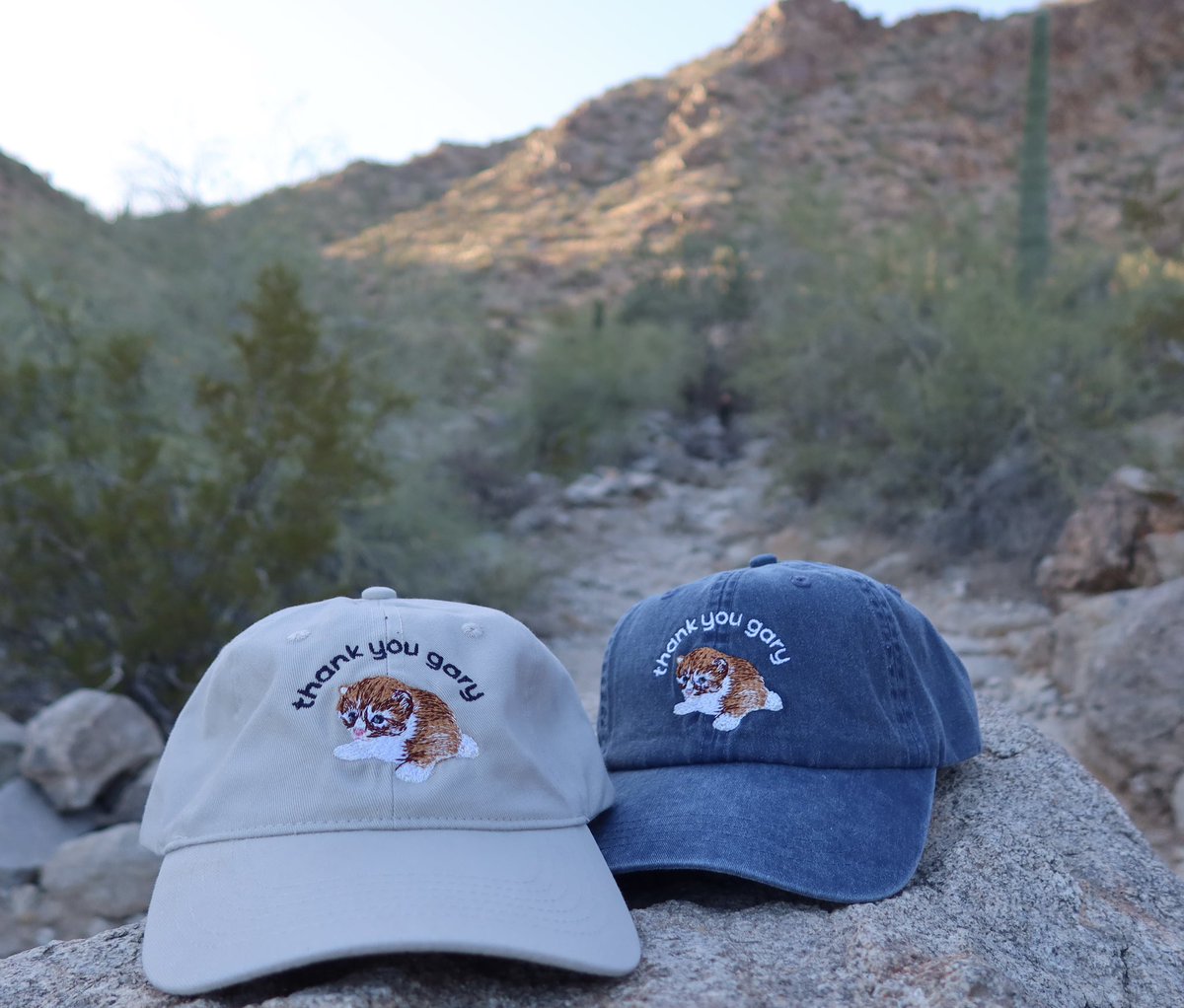 thankyougarySTR's tweet photo. • thank you gary hat collection 1 sold out •

• gary will bring hat collection 2 fall 2026 •

thank you gary :3 https://t.co/3qyICoX23Q