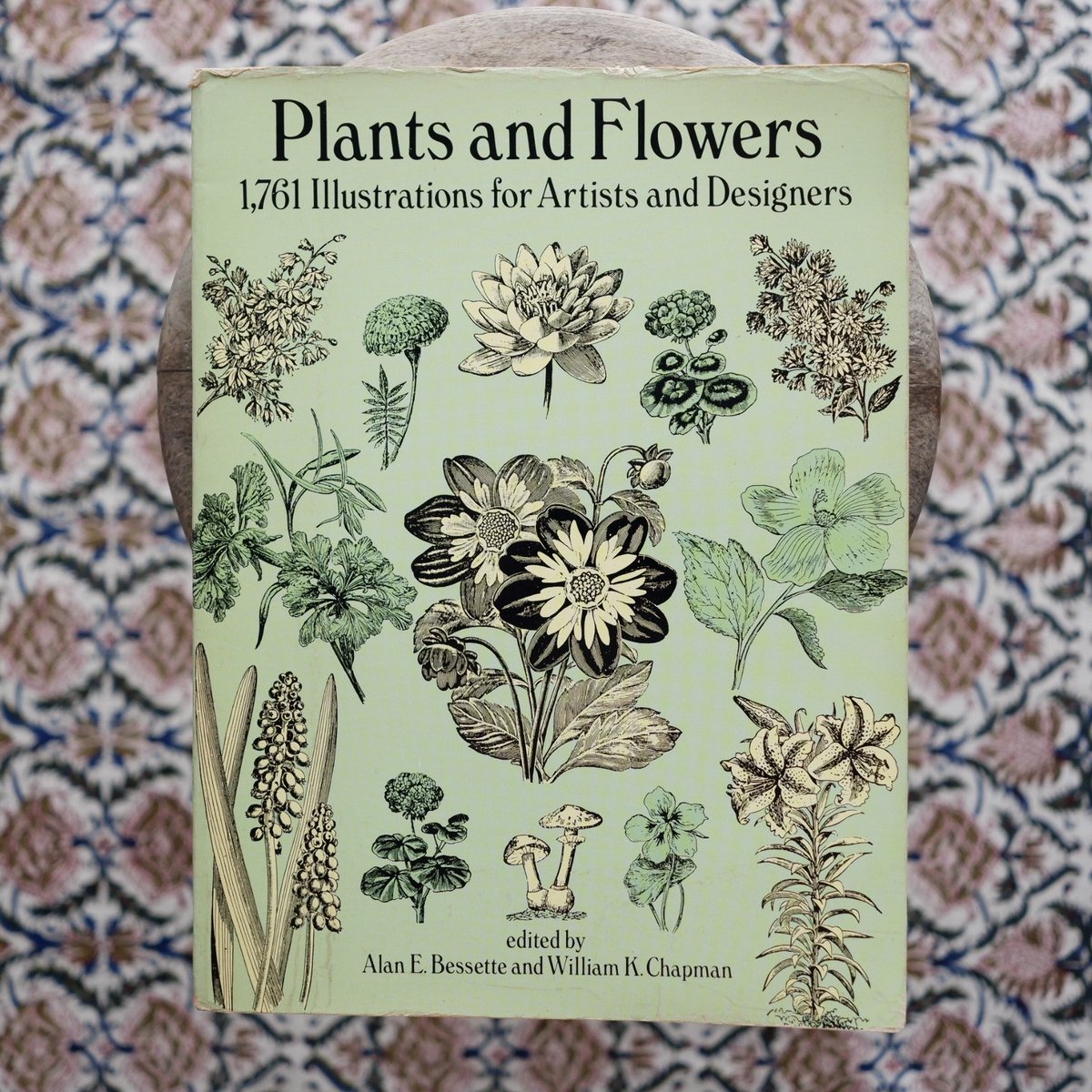 sunababooks's tweet photo. ◎古本入荷

Alan E. Bessette and William K. Chapman
『Plants and Flowers: 1,761 Illustrations for Artists and Designers』（Dover Publications）

世界中の植物や花のイラストが1,761点収められた、著作権フリーの素材集。
https://t.co/fFLEIpRnD7 https://t.co/Z7BXpfvdAG