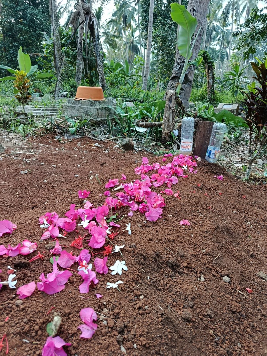 lionstarkw's tweet photo. bu, ini udh sebulan lho. 
ada orng bilang aku ga sedih pas ibuk udh ga ada. katanya aku udh bisa ketawa ketiwi. ada jg yg nyuruh utk memvalidasi perasaan, suruh nangis kalau sedih. 

ya aku gatau, sampai skrng masih blank dan ga nyangka. tpi hidup harus tetap berjalan kan, bu? https://t.co/8os1YW7woO