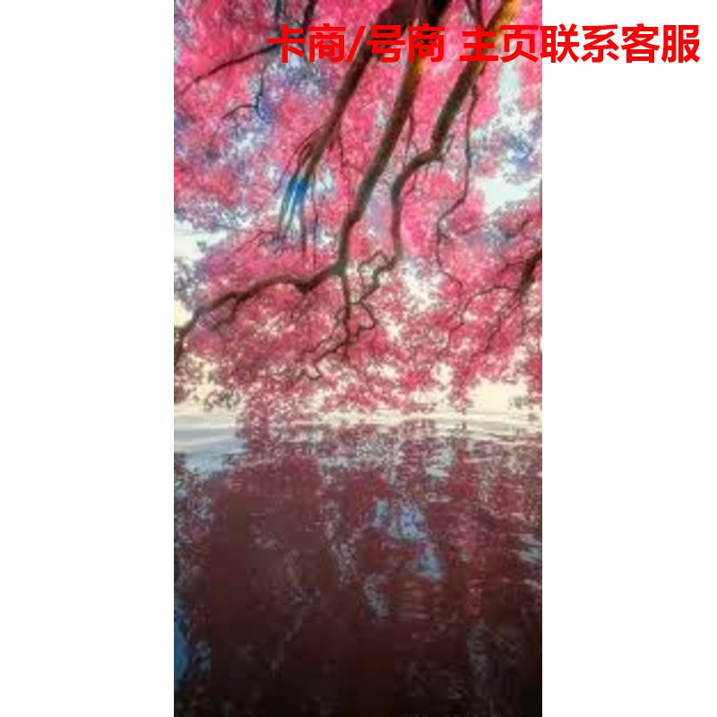 krlamour's tweet photo. 【TT卡商号务】 🉑担保 Keep moving ahead.
点我对接 👉 @cantik_hari_

生活本就是一场拼搏，不拼一把永远不知道自己有多优秀。放下顾虑勇敢尝试，用努力证明自己不留遗憾。

香港卡、虚商电销卡、三网卡 手机卡批量到货 📱全部已实名，插卡即用，库存充足。插卡即用 #电销卡 #三网实名 https://t.co/TU4eSFEX3w