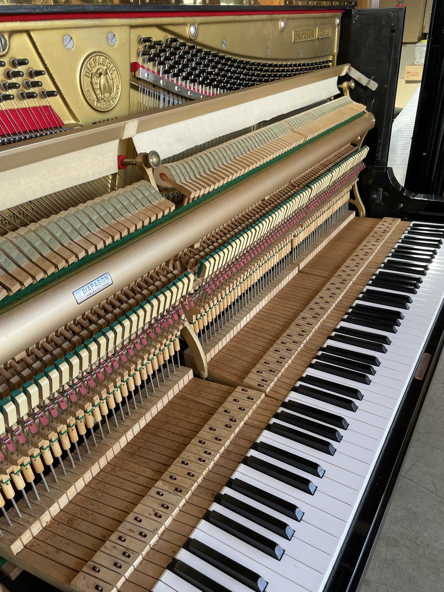 pianodrumsco's tweet photo. 絆ピアノ  ピアノ譲ります。

今月3台めの絆ピアノ、嫁ぎ先が決まりました。
ディアパン132AE

このピアノの現状費用¥33,000
[引取り時の運搬費用など]を負担いただいき、手放す方から必要な子供達に引き継がれます。

#地域のピアノは地域で再活用
#運搬やメンテ費は別途負担ください https://t.co/Uml1mpclEM