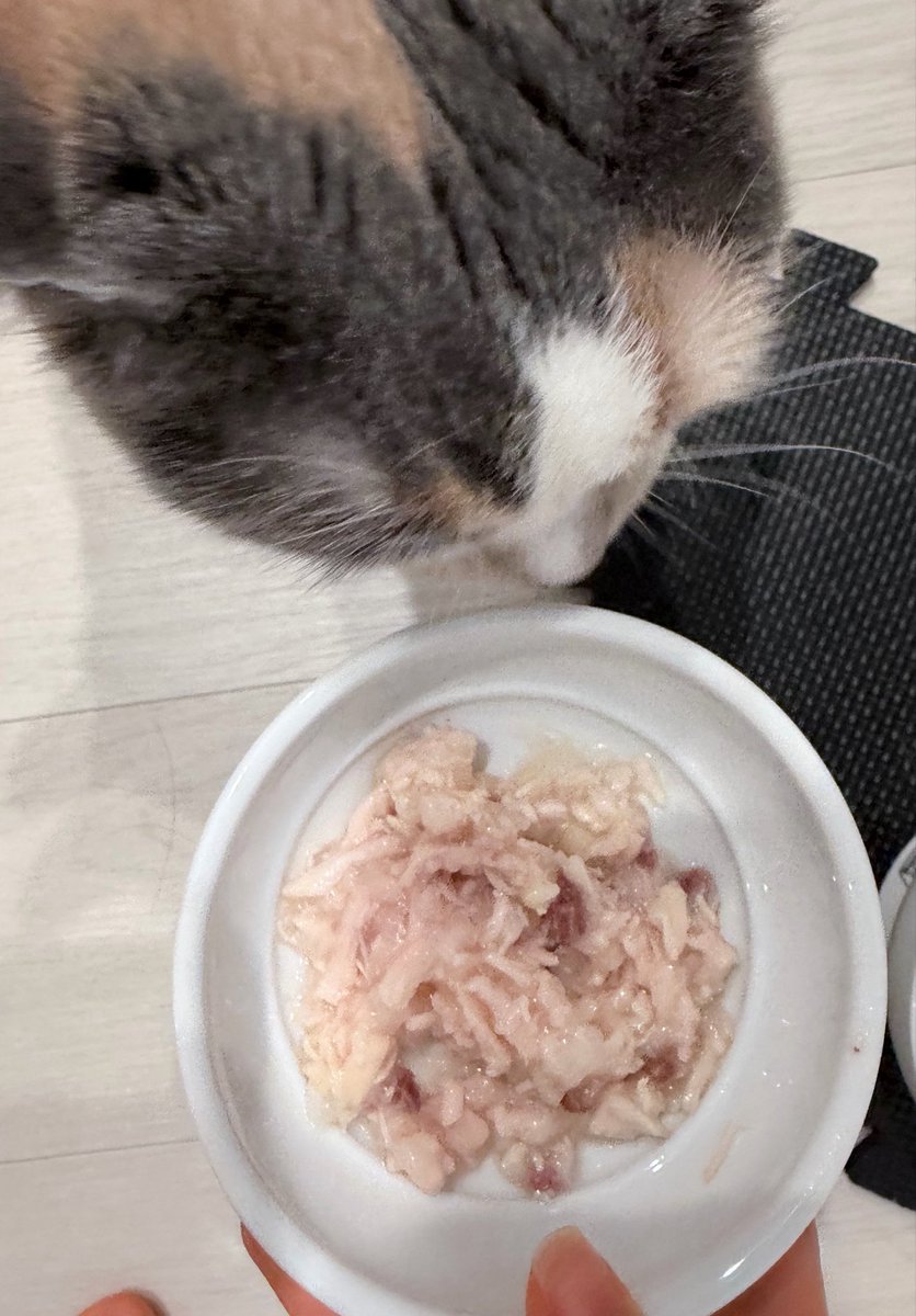 nch1chi's tweet photo. とてもおいしそう
わたしが食べたい https://t.co/iQP0NM5AqO