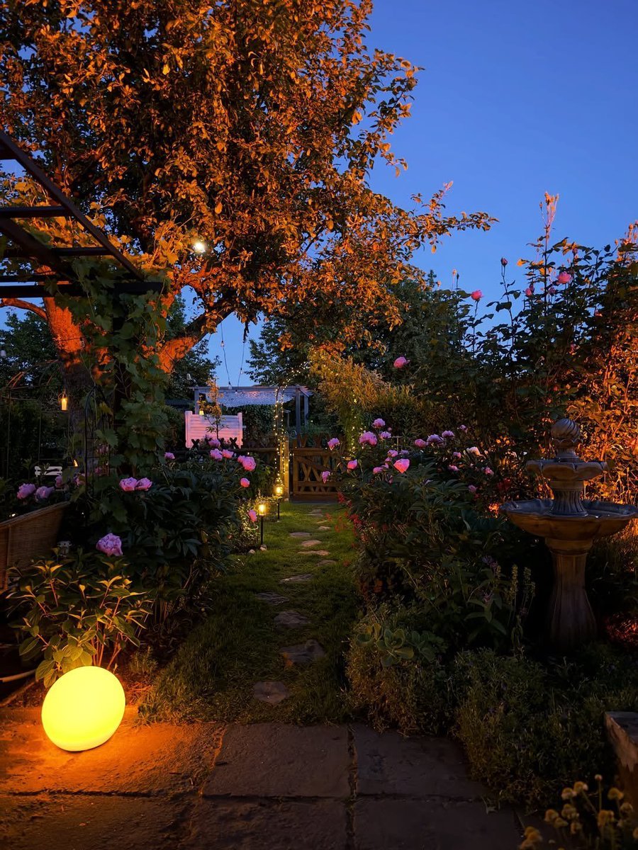cozyycabin's tweet photo. a garden straight out of a fairy tale https://t.co/JrBi8KFIZu