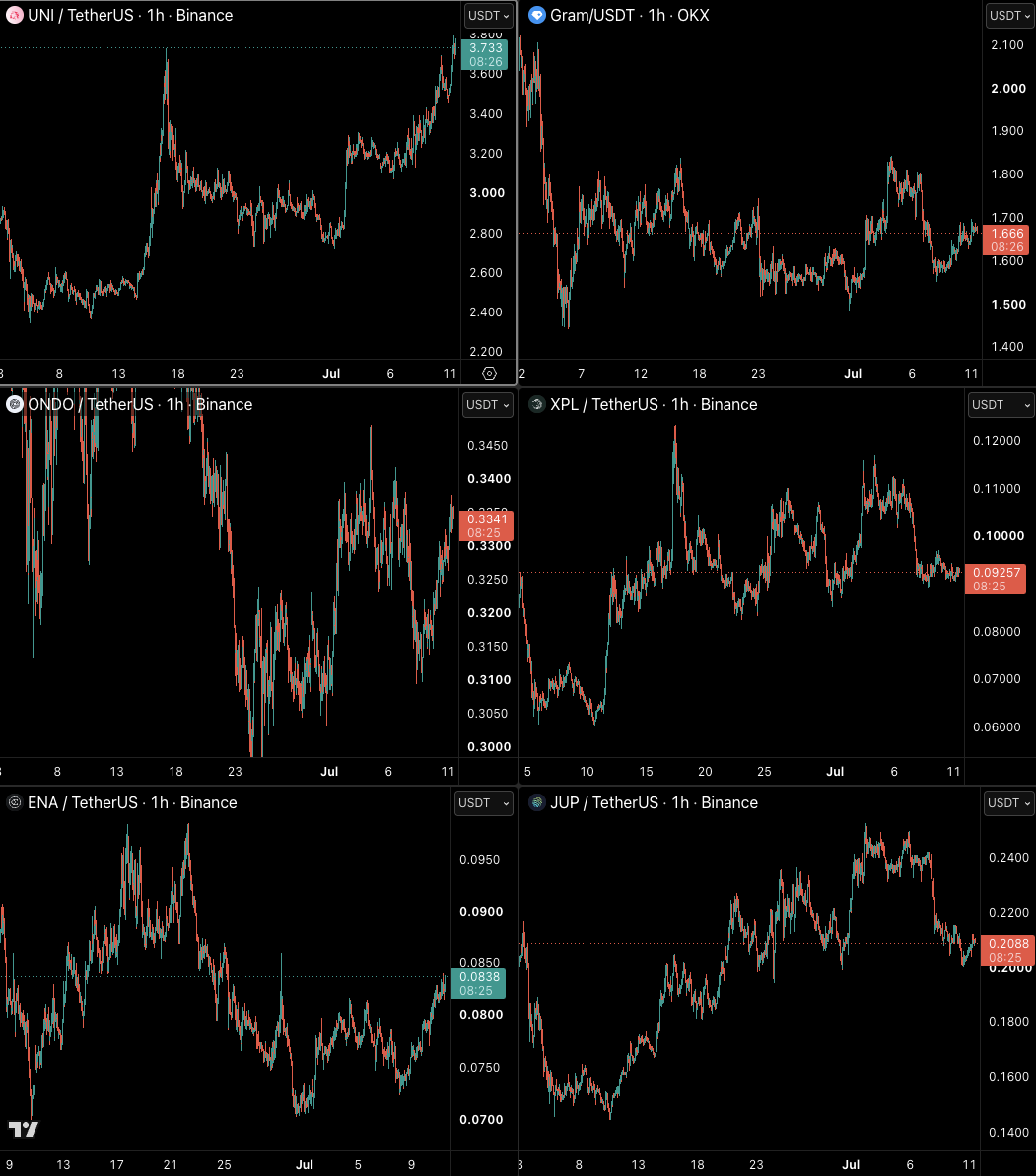 Castillo Trading tweet media