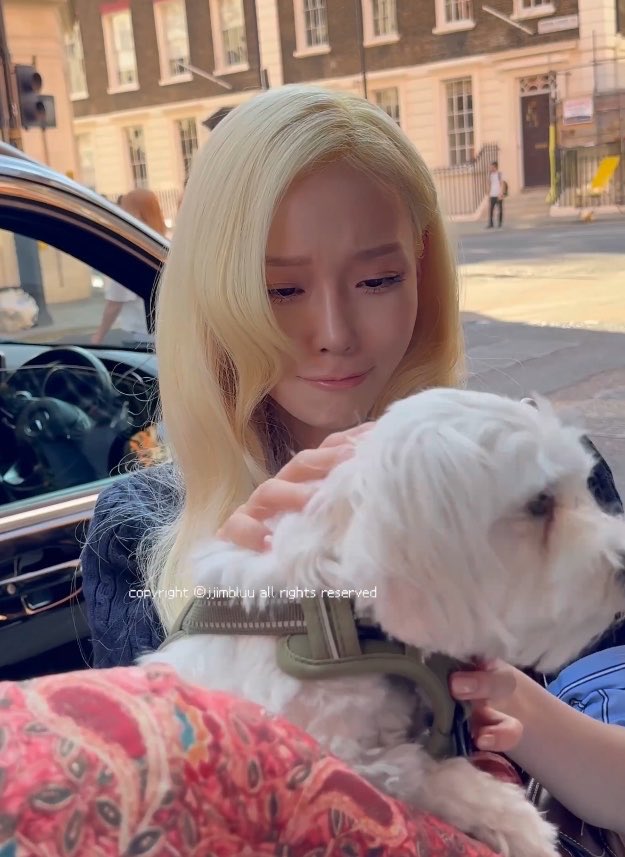 imgbluu's tweet photo. น้องหนาวตอนเล่นกับโปเนียวคงทำหน้าแบบนี้ทั้งวัน https://t.co/lvbzWbmHbV