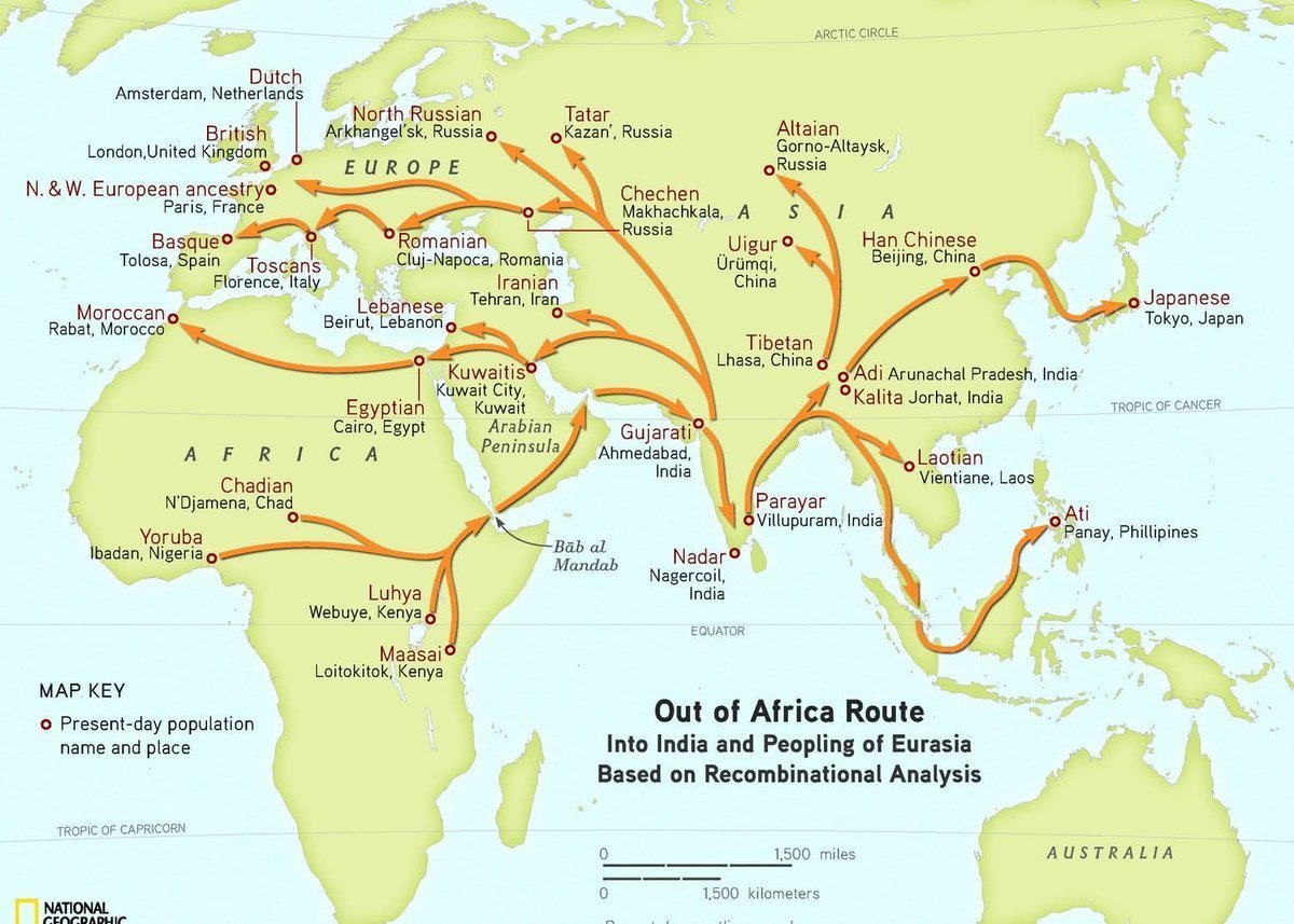 vishwasabha's tweet photo. @thebritishhindu India is the 70KYA #FoundersZone.
Not only S E Asia &amp; Australia, but Indians, the #FounderZone's people later spread to Asia, Americas, East Europe and West Europe also.

The Secret Link between India &amp; Africa with Jijith Nadumuri Ravi
https://t.co/b2h91ABJIy https://t.co/3huxopNC6j