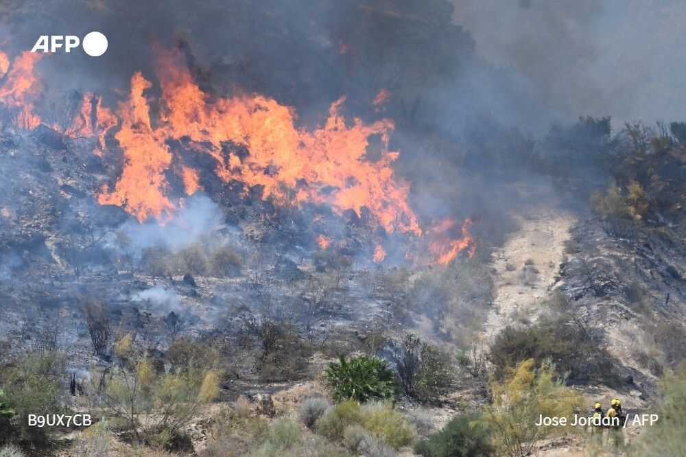 AFP News Agency tweet media
