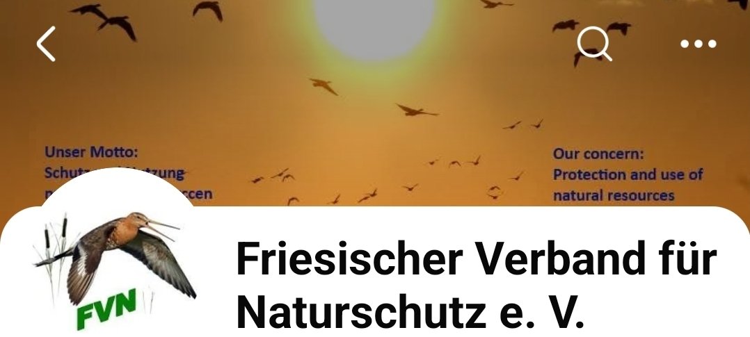 Fabelixx's tweet photo. Noch so eine Sauerei 🤬
Da muss man sich nicht wundern über verirrte Wale, Strandungen etc
👇

GROSSFLÄCHIGE TIERQUÄLEREI IN DER NORDSEE GEPLANT! 😡
…in der Kinderstube der Schweinswale 😢
ALARMSTUFE ROT !
Schweinswale in der Nordsee sind bereits durch Schiffsverkehr und Offshore-Windparks gestresst. Jetzt droht neue Gefahr: ExxonMobil will 3 Monate lang mit Schallkanonen den Meeresboden beschallen.
Das Ziel: Ein CO2-Endlager direkt neben Schutzgebieten, wo Schweinswale ihre Jungen großziehen. 
Was als "Klimaschutz" verkauft wird, könnte zum Todesurteil werden.
5 Umweltverbände schlagen Alarm. Warum dieses Projekt keine Klimaschutzmaßnahme ist, sondern eine Bedrohung für unser Meer.
…jetzt sind es 6 Verbände 😉..

Absolut kein Spaß dort:

• Mehrstrahl-Echolote (Multibeam
Sonar) zur Vermessung des Meeresbodens.

• Sub-Bottom-Profiler, die mit Schallwellen einige Meter bis mehrere hundert Meter in den Meeresboden blicken, um Sedimentschichten zu kartieren.

• Seismische Untersuchungen (2D-und 3D-Seismik), bei denen mit speziellen Schallquellen die geologische Struktur bis in mehrere Kilometer Tiefe untersucht wird. Diese sind für die Auswahl geeigneter COz-Speicher besonders wichtig.

• Seismische Untersuchungen mit Airguns erzeugen sehr laute, tieffrequente Impulse. Sie gelten als die akustisch belastendsten Verfahren und können Schweinswale vertreiben oder ihr Verhalten verändern. Deshalb sind sie in Europa mit strengen Auflagen verbunden (Beobachter, akustische Überwachung, Abschaltzonen, Soft-Start-Verfahren).

• Sub-Bottom-Profiler und viele Vermessungssonare sind deutlich leiser als Airguns, können aber ebenfalls Auswirkungen haben, insbesondere auf Schweinswale, die hochfrequente Schallbereiche zur Echoortung nutzen.

• Dauerhafter Unterwasserlärm führt dazu, dass Tiere wichtige Nahrungs- oder Fortpflanzungsgebiete meiden.

siehe https://t.co/jv2b7DiMFQ 

Wir meinen dazu: Ist ne echte Sauerei!
Wenn es der großen Wirtschaft passt, ist Natur-Tier- und Umweltschutz auf einmal total pappegal 😡
Aber die Kleinen werden gegängelt,gemaßregelt und vertrieben um vom großen Mist abzulenken….
So is dat.