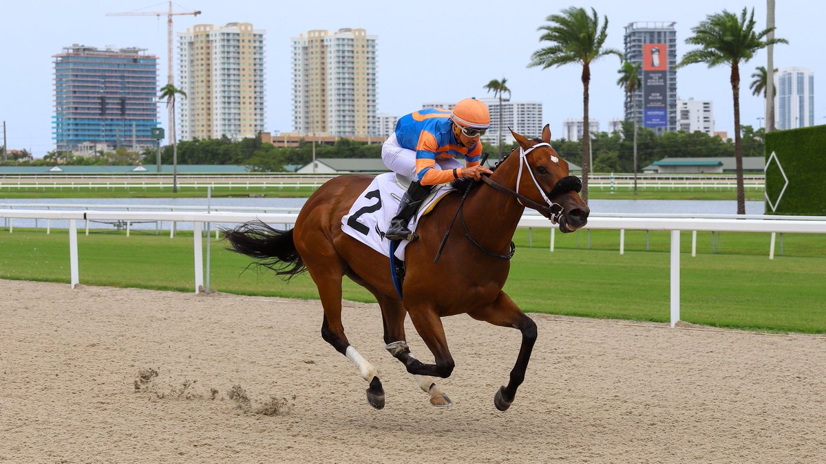 GulfstreamPark's tweet photo. Restock (JPN) pulls away in the final stretch to win race 4, @LeojockeyReyes up for trainer @JFDAngelo. #GulfstreamPark #RoyalPalmMeet https://t.co/jpm5UUGVjV