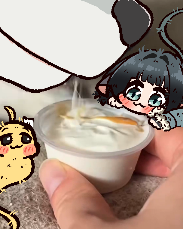 10_raccoon tweet picture