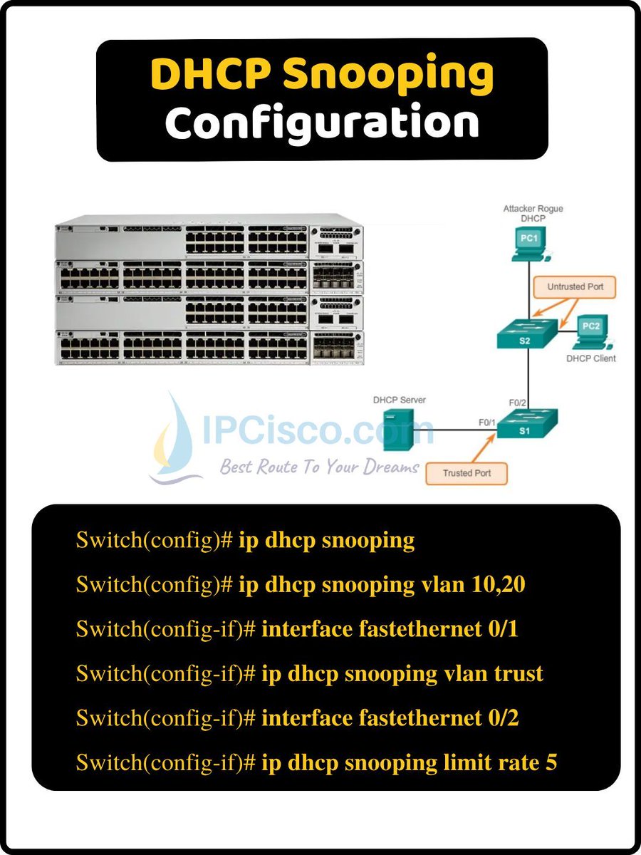 IPCisco tweet media