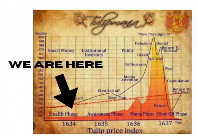 Cryptoguyonsoll's tweet photo. Robinhood is a stock platform, and they have now turned to memes.  Memes are the future, but they also have a past. The first ever memestock was the $TULIP, in which $TULIP reached absurd prices, until people realized that they are just tulips, same as memecoins It is officially recognized as the first memestock ever
https://t.co/OMF1SR2xbS