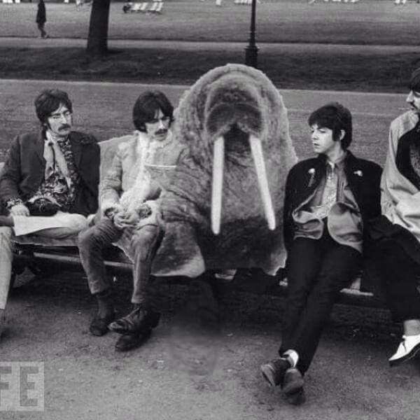 starkeysunn's tweet photo. why is there two John's? https://t.co/neQUlo1Q4y