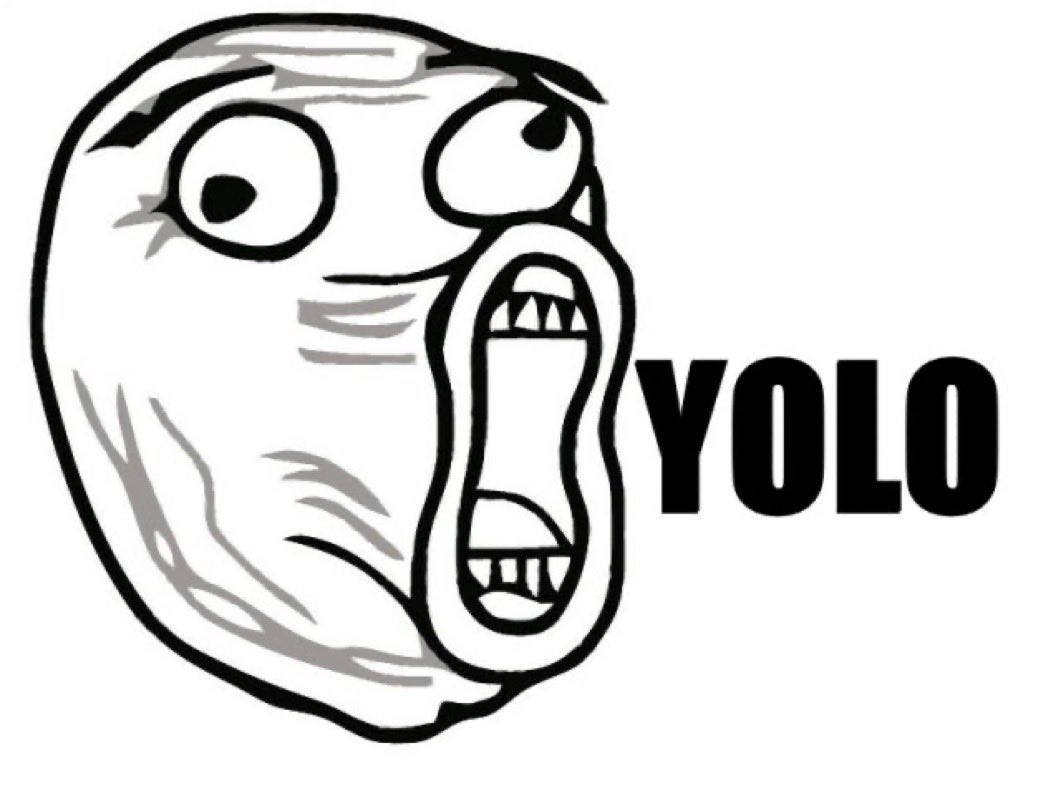 YOLO tweet media
