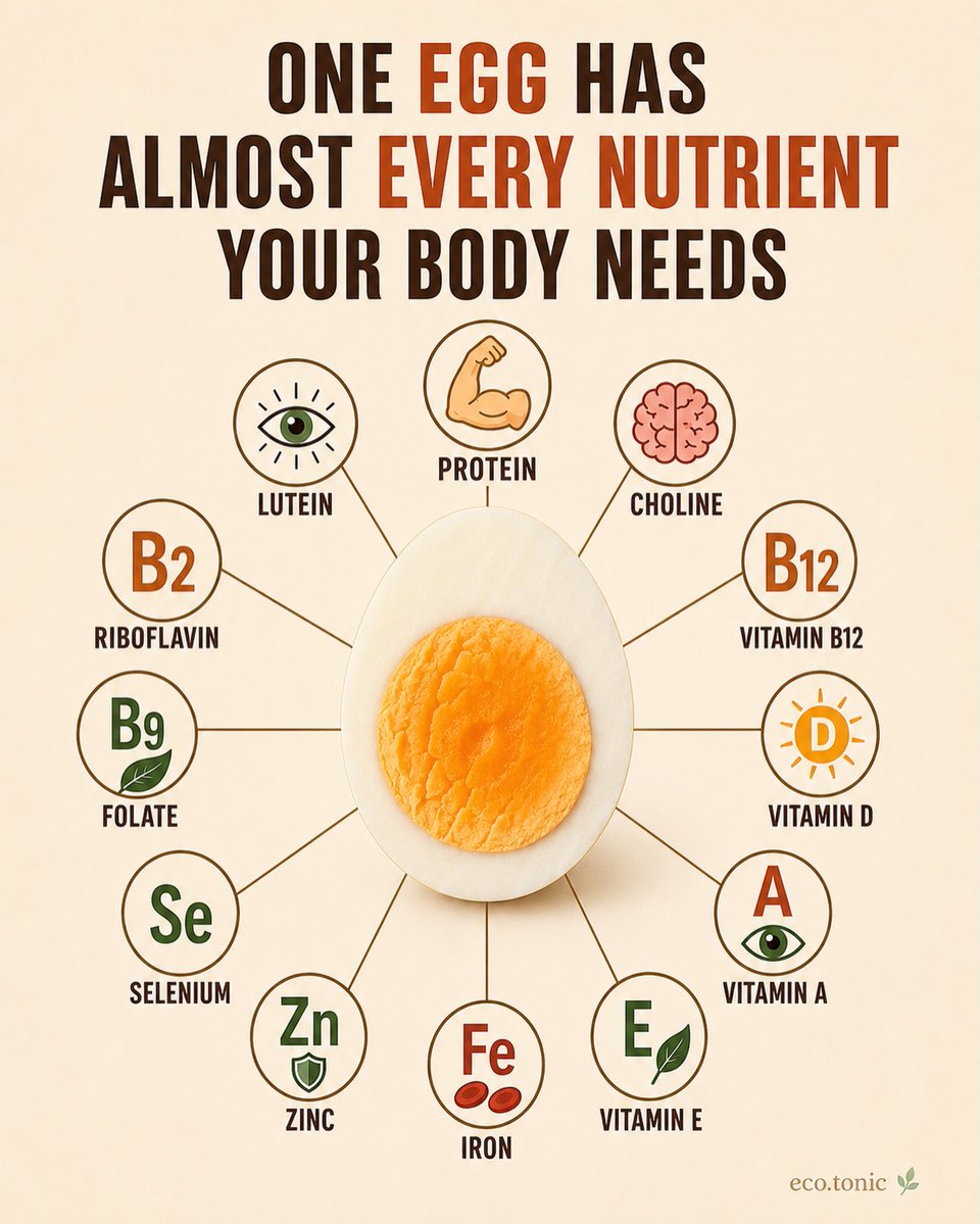 HEALTH__LIVING's tweet photo. One Egg has almost every nutrient your body needs https://t.co/Rf0GA9M3wW