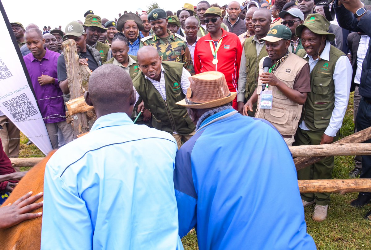 GMugambi_CBS's tweet photo. Today, I joined His Excellency the Deputy President, Prof. @_KithureKindiki, Cabinet Secretary @DeboraBarasa ,Hon. @kipmurkomen ( Interior and National Administration) and other  leaders during the 10th Edition of the Kaptagat Integrated Conservation Programme (KICP), where we launched the 273-kilometre electric fence around the Kaptagat Forest Ecosystem at Penon Forest Station.

The fence is a major milestone in securing one of Kenya's most important water towers by enhancing forest protection, reducing human-wildlife conflict and safeguarding biodiversity. We also launched the commercial cultivation of cocoa, with 400 seedlings planted to establish Kenya's national demonstration hub for cocoa farming, advancing agroforestry, sustainable livelihoods and the #15BillionTrees Growing Programme.

#KaptagatICPAt10 #KICP #15BillionTrees #15BWajibuWaKilaMkenya