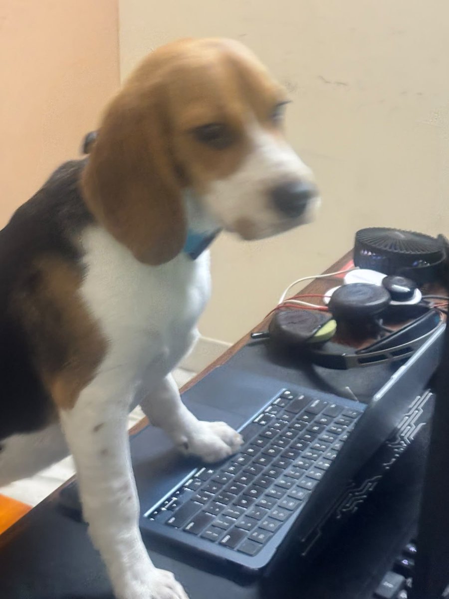 TanmaiVully's tweet photo. First time on Claude think she’s a bit nervous https://t.co/tAiux26LWj