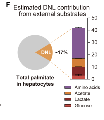 VeraZertucheMD's tweet photo. En este estudio demostraron que una  alta ingesta de proteínas, más que de carbohidratos o grasas, parece ser el principal factor nutricional de riesgo para el desarrollo de MASLD en humanos. 

Los carbonos derivados de los aminoácidos son aproximadamente dos veces más eficaces que la glucosa para impulsar la síntesis de ácidos grasos en el hígado, favoreciendo la acumulación de grasa hepática.