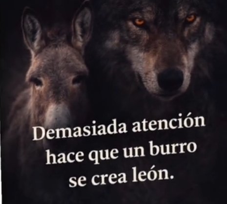 Mnica01163438's tweet photo. Buenas noches #Chicos
Dulces sueños 💤💤💤
A soñar bonito 🤩🤩🤩
#TeamBruja #TeamOlfato
Siquiatra acomplejado 🆗
Jajaja jajaja jajaja jajaja
Bezasos ❤️❤️❤️❤️ https://t.co/uNUYbjBaog