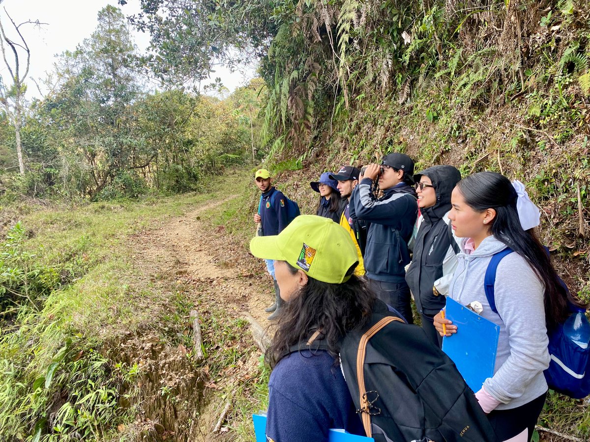 IES_CINOC's tweet photo. Desde México hasta las montañas de Pensilvania. 🇲🇽⛰️🇨🇴
Nuestros estudiantes visitantes del Programa Delfín vivieron una jornada de aprendizaje e investigación en la Reserva Andinobates Boquerón, fortaleciendo el intercambio de saberes y su formación investigativa. 🔬🌿 https://t.co/3aqemxOSWG