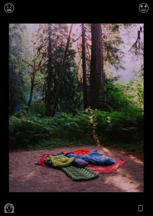 trendyandy29's tweet photo. Baking Chocolate Cookies: The cookies are baked. Strong forest wild boars roam through the zoo's thick woods, foraging for fruits and plant roots, displaying a primitive survival instinct. https://t.co/bxsPOkGdbe