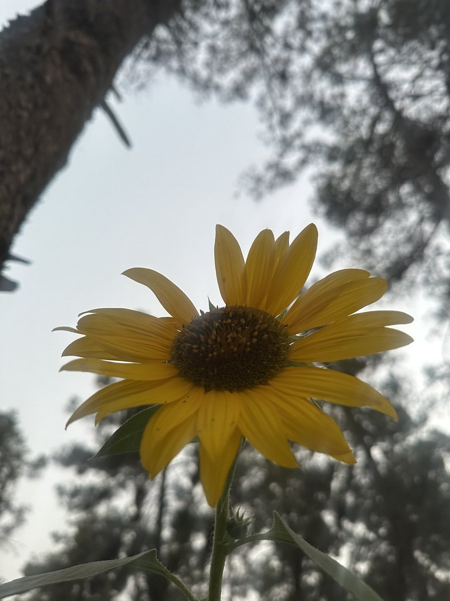 Nugrah_Baloch's tweet photo. Plato Says;
Where there’s Right, there’s Reason, &amp; Where there is Reason there is Right.

Philosophy of Politics https://t.co/auL7vAxlzP