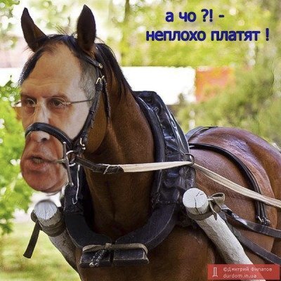 ChurchillFella's tweet photo. World Horse Day today. https://t.co/SPtB8S9J8w