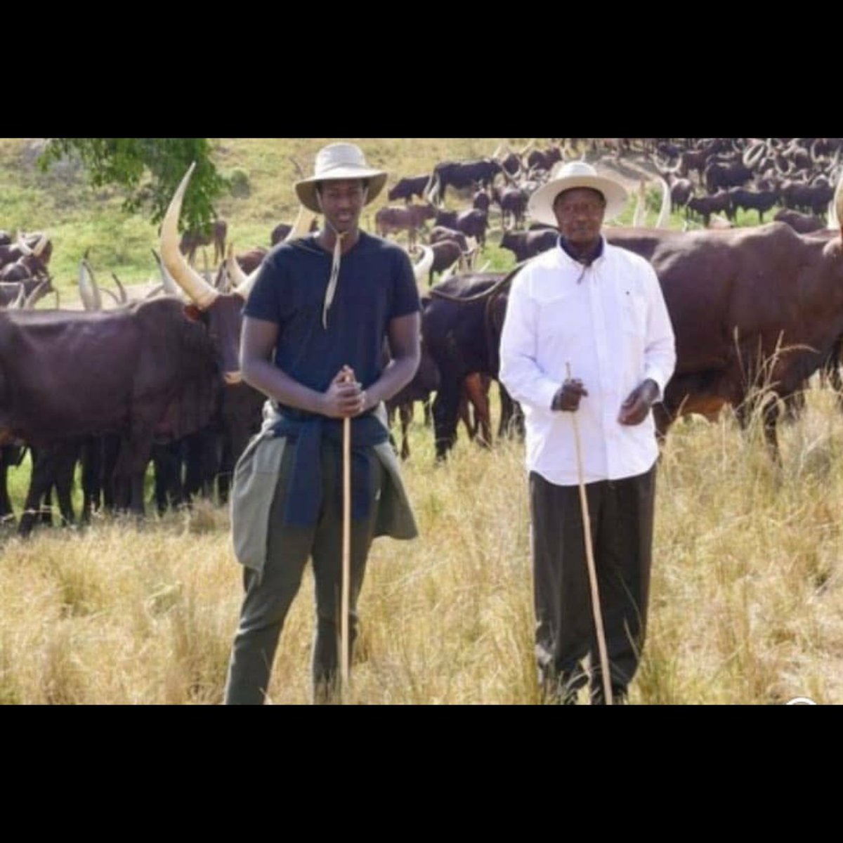 Hon Nsereko tweet media