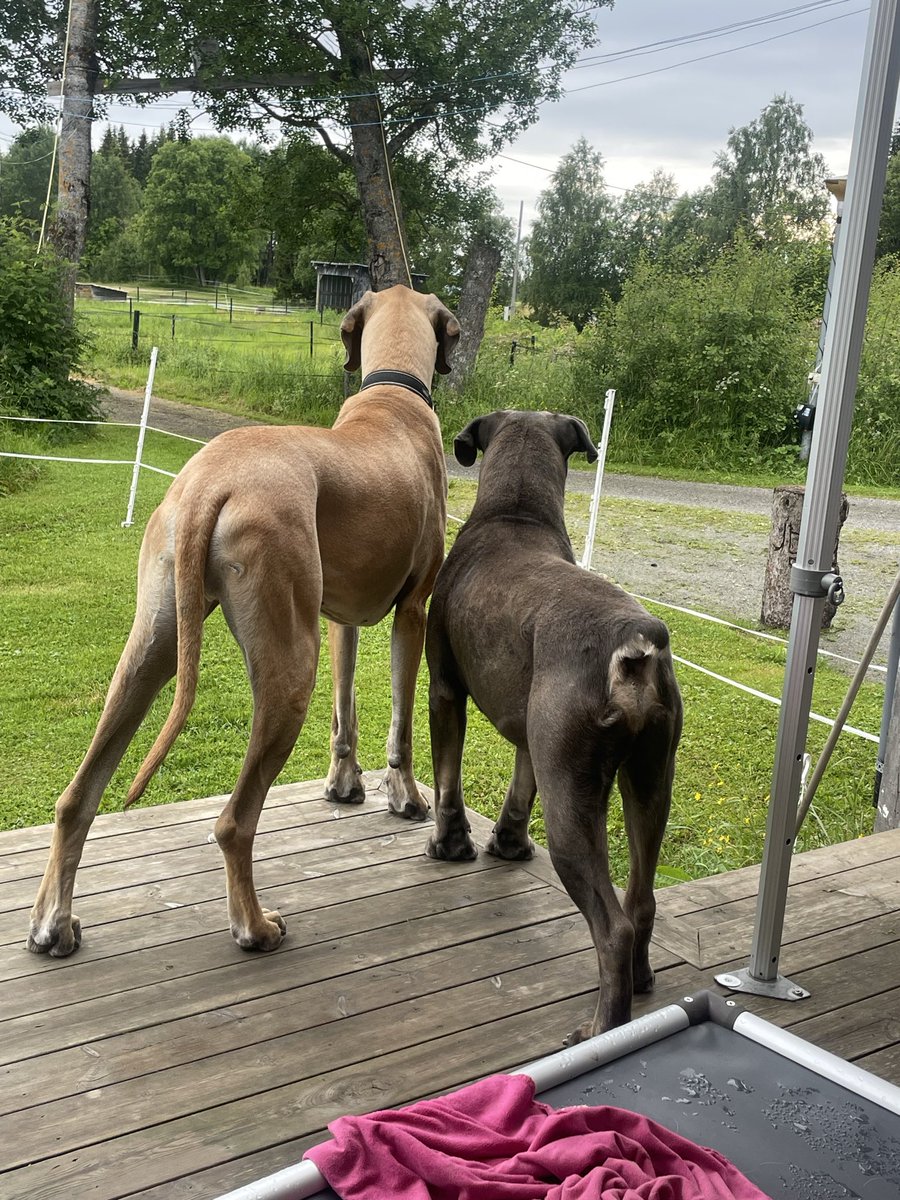 AnetteWikstrm tweet picture