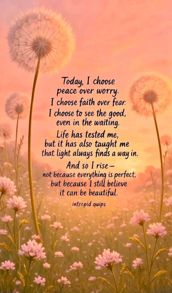 LifeWithJohn's tweet photo. Today, I choose peace over worry.
I choose faith over fear.
I choose to see the good even in the waiting.
Life has tested me, but it has also taught me
that light always finds a way in.
And so I rise...Intrepid Quips 
~ Let's make this our Monday affirmation! https://t.co/9LwULvhyPq