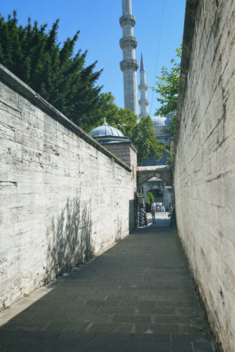 elyaaa_aa's tweet photo. Süleymaniye ve Ortancalar https://t.co/IGExjEqs0H
