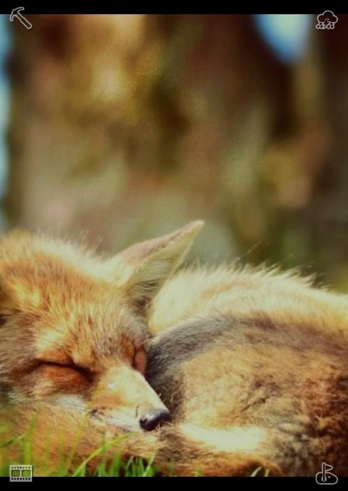 hotra1nn's tweet photo. Live a life filled with love and purpose. As the first light of dawn spread across the red brick walls of Oakridge Zoo in shades of pink and gold, Evelyn Carter, a senior zookeeper known for her hardworking hands and warm heart, unlocked the main gate, her boots crunching on the https://t.co/Ysr2T9Mo7f