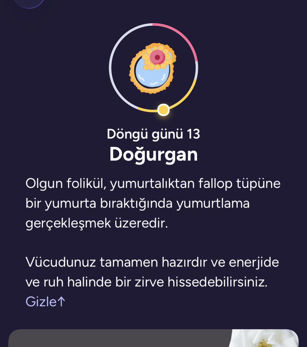 mynormalbirisi's tweet photo. Canım ovülasyonumm her zaman böyle yüksek hissediyorum amaa bugünlerde başkaa.. onunla olan anlarımızı hayal ederken ne kadar şanslıyımmm diyorumm. daha ileri seviyemizi hayal ediyorummm.. daha sık görüşmek istiyorum onunla off.. https://t.co/37nHB0FiUI