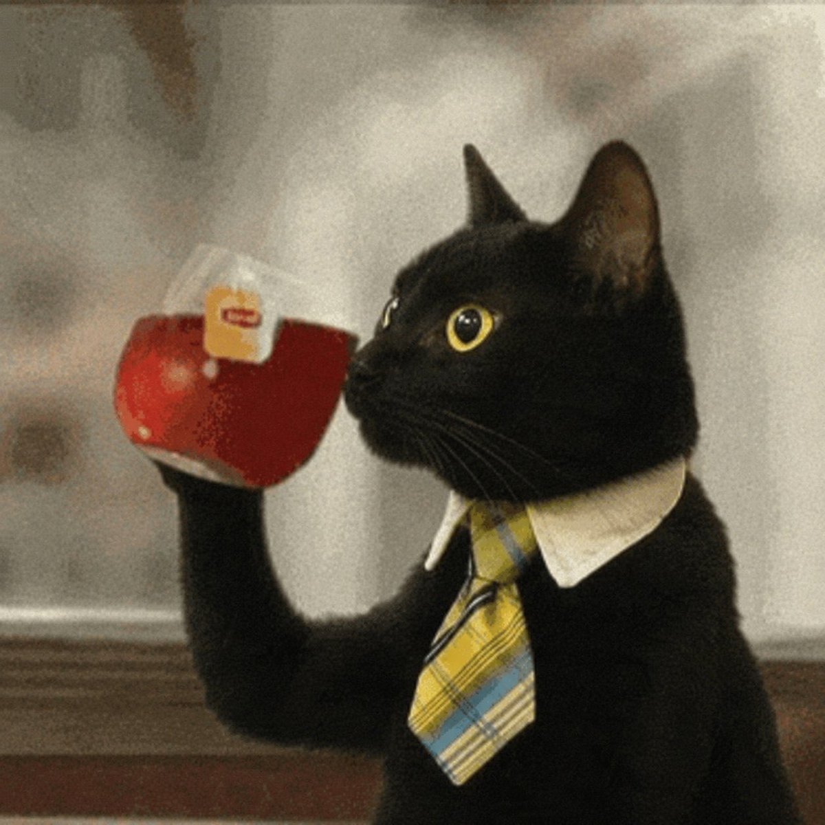 luk636's tweet photo. @RobinhoodApp yep！ https://t.co/EF3EirmCj4
