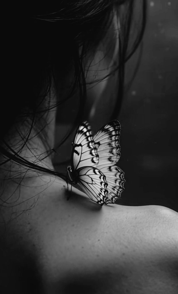 RippleMagia_'s tweet photo. Dice mi estómago que te lleves las mariposas y me las devuelvas en un beso 💋 https://t.co/urBNPg2bNh