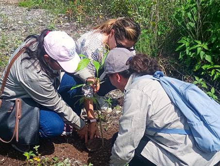 STEinforma's tweet photo. #Conagua y #Conafor restauran dos hectáreas de ecosistemas nativos con la siembra de 400 árboles en #Yucatán https://t.co/HfdSqN5erE
- La siembra de 400 árboles nativos de alto valor ecológico contribuye a la recuperación de los ecosistemas.... https://t.co/VWcTwNAimt