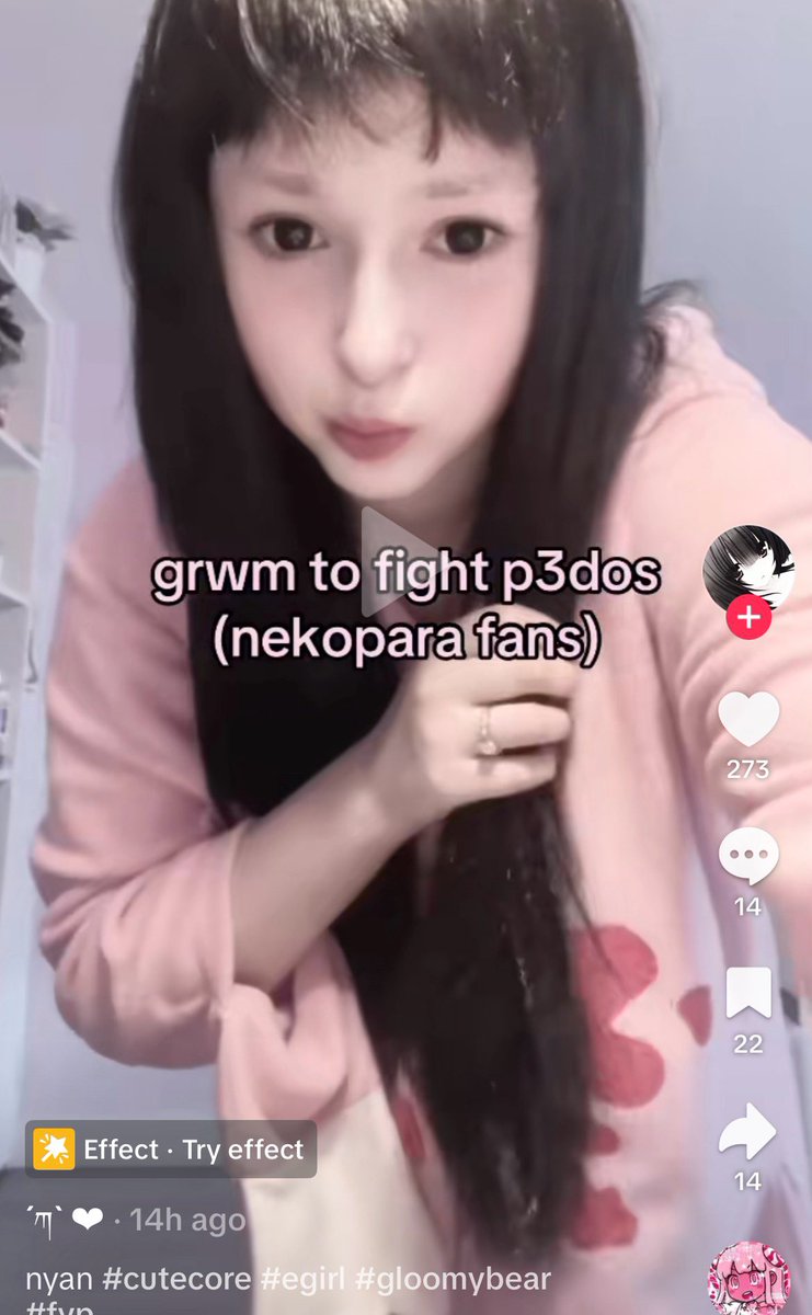 Angelcakieee's tweet photo. When someone plays a game about cat girls so obviously they’re on the same level as a predator https://t.co/5dds4Yvei2
