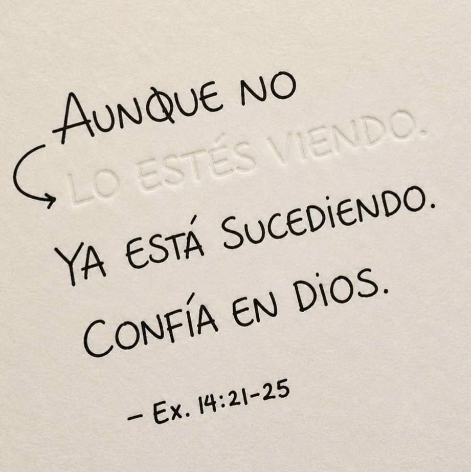 feravacom's tweet photo. #BuenosDías #CdVictoria #Tamaulipas https://t.co/soFYmJIN6c