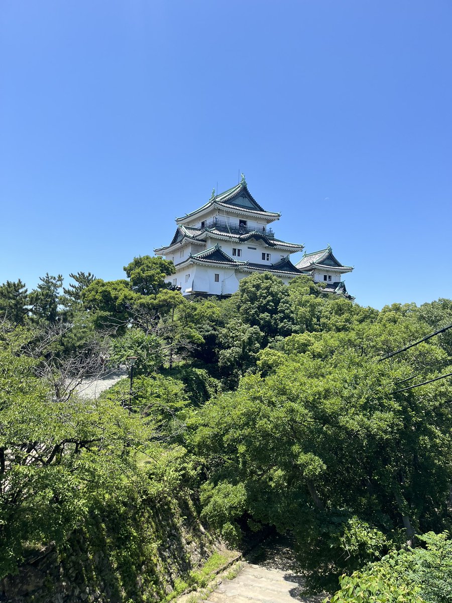 okt0219's tweet photo. 木・金曜日に家族旅行で和歌山行ってきた🫶🏻市内は和歌山城だけ行ってあとは白浜！
👶🏻連れの旅行はじめてやし、近い所で選んだけど白浜だけでも充分完結できるしよかった
水族館こじんまりしてたけど、興味津々で魚見てるお子かわいかった🥰
産後初の温泉沁みたしまた行きたい！ https://t.co/DeK1AQGwUk