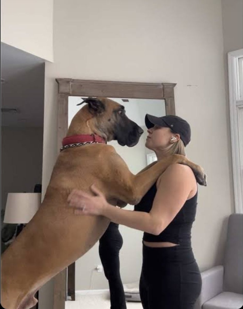 Silestoknot457's tweet photo. Dogs make every day brighter.👇
https://t.co/AA9uZkuOvL
#DogCommunity
#K9Life
#DogsofX
#PetCare
#DogFacts https://t.co/idzx9bCoyE