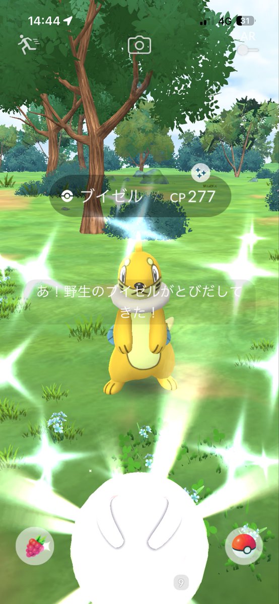 Yadirobee's tweet photo. 本日の色違いはケルディオとGoFesからのスナバァとブイゼルとトロピウスとレディバ

ケルディオは個体値もなかなかだった

今日の1番はトロピウスだね🥳

明日はバッフロン出したい https://t.co/YVv7PdZ1nI