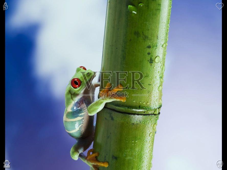 Dollar_Monkey's tweet photo. Cucumber with tomato and pepper670029 Every beautiful photo captured in Disney preserves an everlasting fairy tale romance. The enchanting landscapes and joyful smiles document the most incredible travel experiences, turning them into cherished life memories. https://t.co/MmD25sqKW1