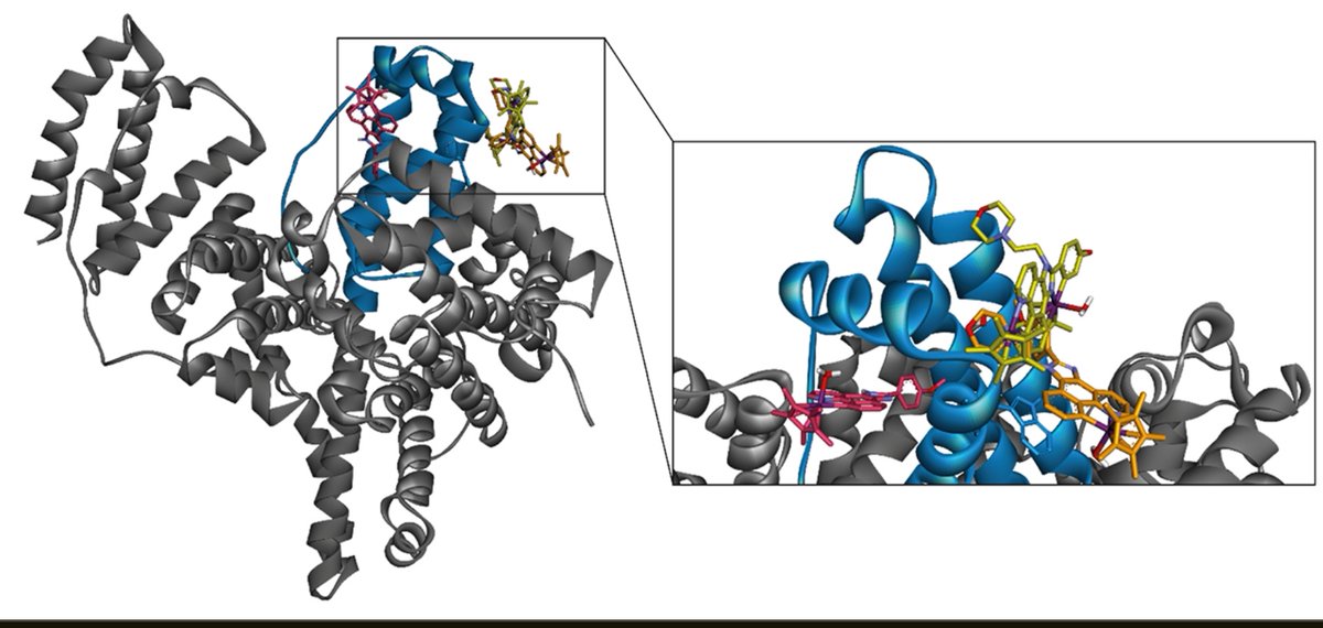 mariosalises's tweet photo. I believe we did a great job at exploring alternative anticancer mechanisms, introducing cool protein-docking computational calculations to support experimental results and demonstrating how ligand functionalization allows to fine-tune the behaviour of these Ir complexes (2/3) https://t.co/V6vAJ0CrKs