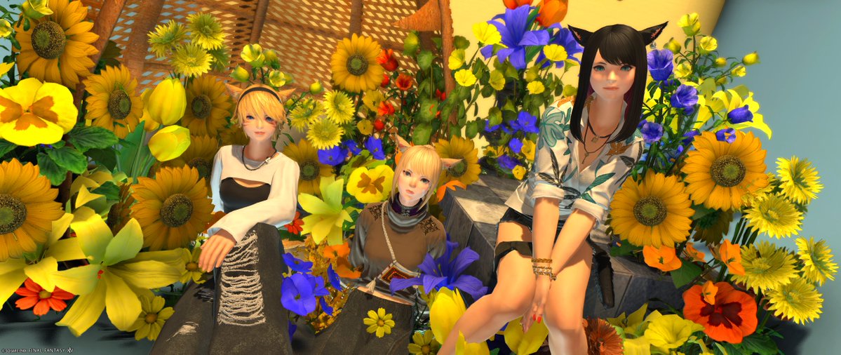 rikka_soleil's tweet photo. おしゃれ夏スタジオにいってきた🌻 https://t.co/ps3WNEQceM