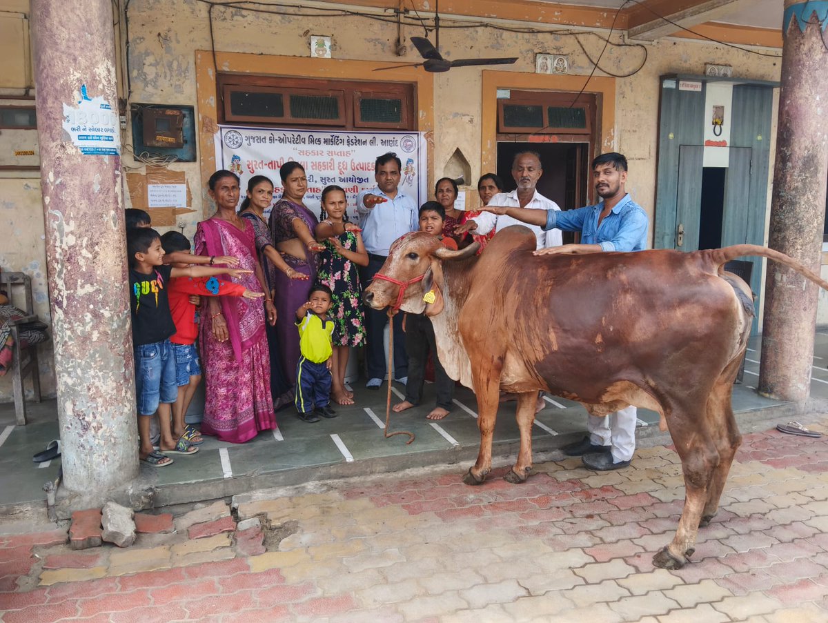 SumulRoot's tweet photo. Sahakar Saptah 2026 – Day 1 | 29 June 2026

Under the guidance of Gujarat Cooperative Milk Marketing Federation @amul_india  , SUMUL Dairy celebrated the inauguration of Sahakar Saptah 2026 across Dairy Cooperative Societies with Sahakar Pratigya Diwas, Dharti Mata Pujan, and Gaumata Pujan. The celebrations reinforced our commitment to cooperative values, environmental sustainability, and the prosperity of dairy farming communities.
@MinOfCooperatn 

#SahakarSaptah2026 #GCMMF #SUMULDairy #Cooperation #DairyCooperatives #Sustainability #DhartiMataPujan #GaumataPujan #FarmerFirst