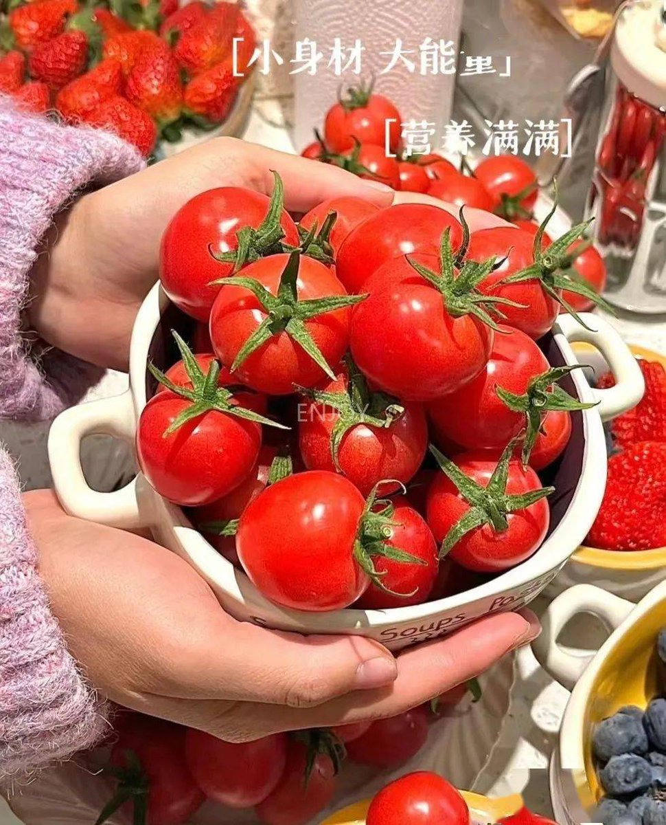 chrheer's tweet photo. Just tried the new organic cherry tomatoes! Burst with sweet, juicy flavor, no bland aftertaste at all—perfect for salads or snacking. Highly recommend!， https://t.co/C3WNxbkQ9N