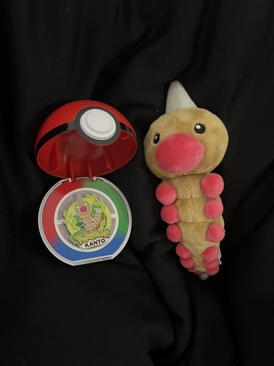 mmeeeeeeee's tweet photo. これはポケパークでゲットしたビードル https://t.co/HGCx0dL1tE