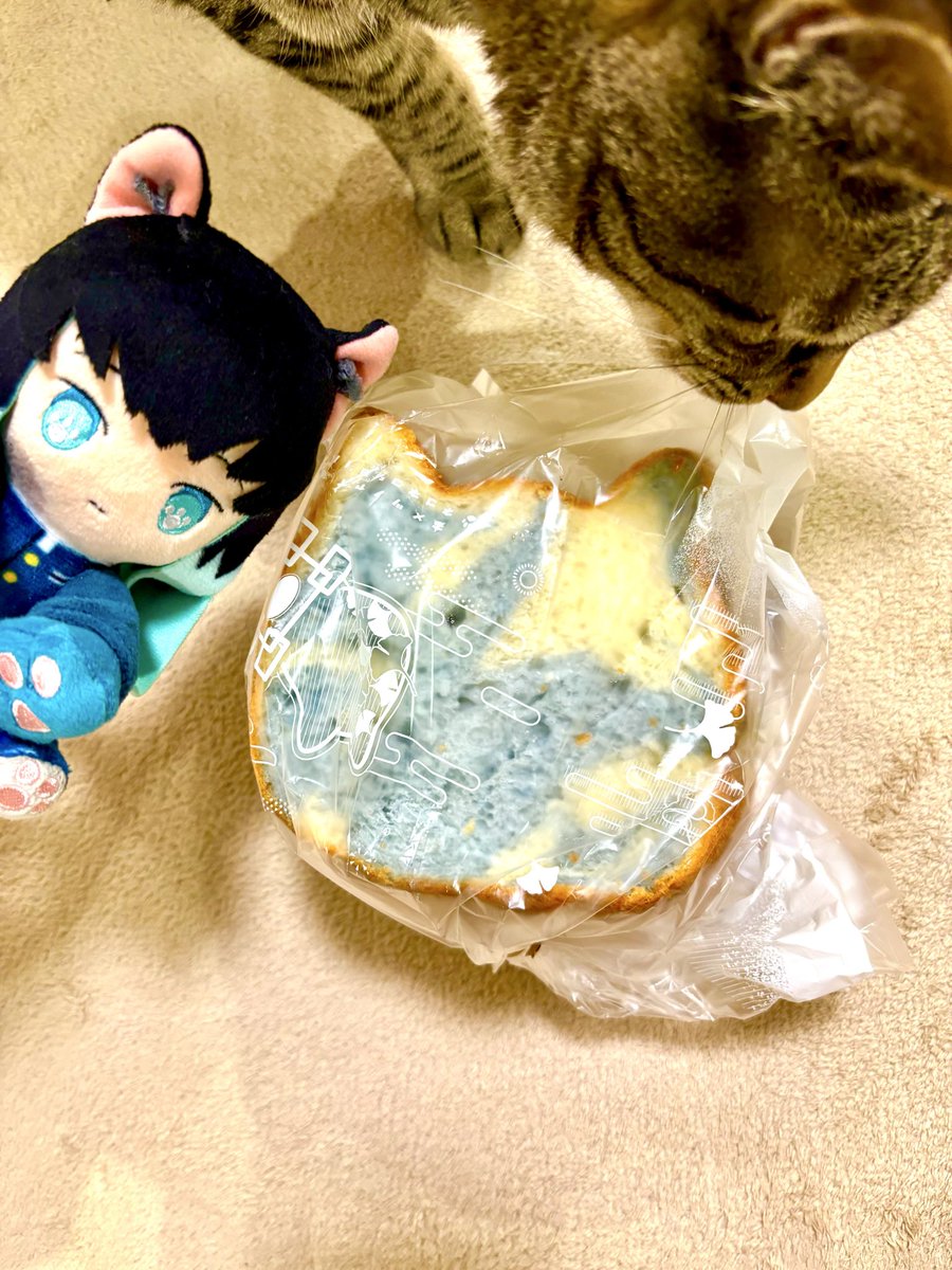 nuoooooopokemon's tweet photo. ねこねこ食パン🍞無一郎君のラムネパン、見た目に反して(?)とても美味しい❣️袋も、ちゃんと無一郎君のイチョウの葉っぱとか霞とか描いてあり、嬉しかったなぁ🌫️ https://t.co/nvgvGO5JsA