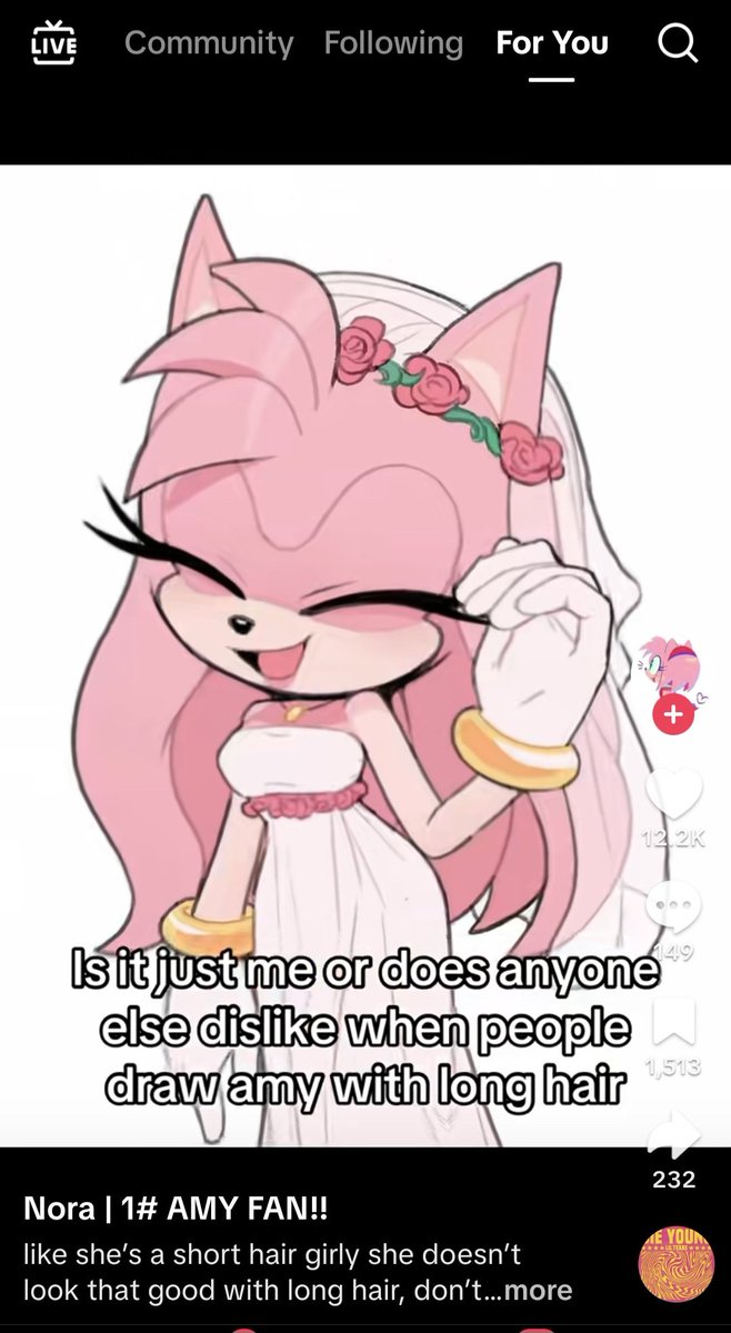 _Ra_Fox_'s tweet photo. WTF is wrong with people? Why do they even care? Especially, they used drawings by so many artists just to trash it. Lots of artists add distinctive features to characters, but everyone is fixated specifically on Amy having long quills just wtff https://t.co/pXFOnxSYoD